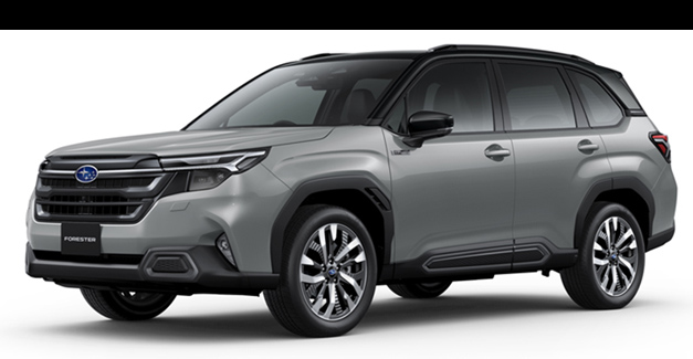 ���{�J�[�I�u�U�C���[